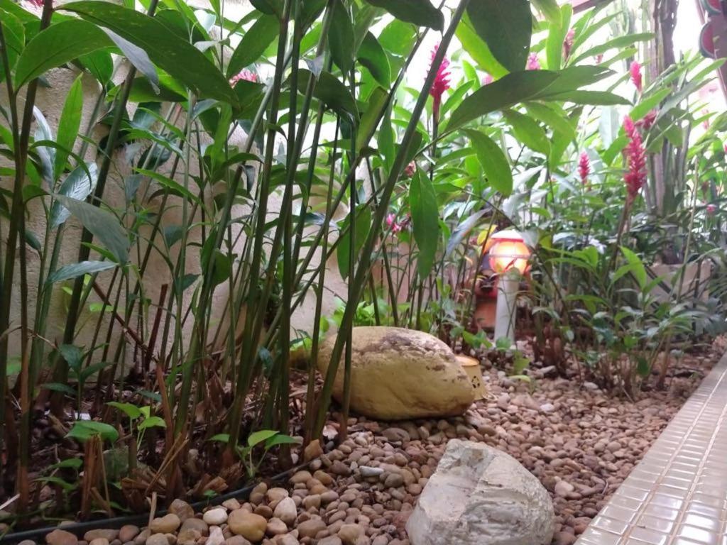 Casa Mel Casa de férias